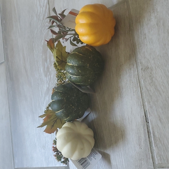 NWT 4 Ashland Mini tabletop Pumpkins - Picture 7 of 12